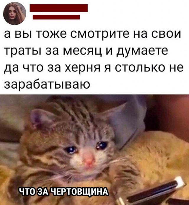 Так себе картинки 23.04.22