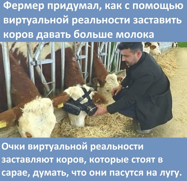 Так себе картинки 29.05.22