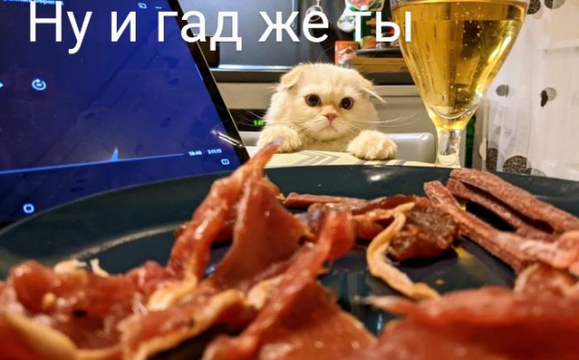 Картинки и мемы для настроения - 29