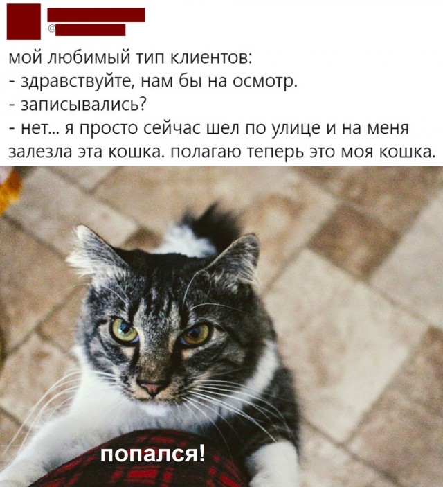 Так себе картинки 12.07.22