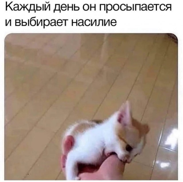 Мемы на конец июля