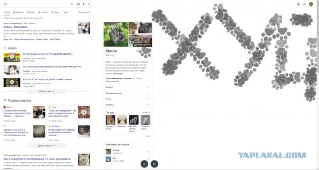 Пасхалка из Google