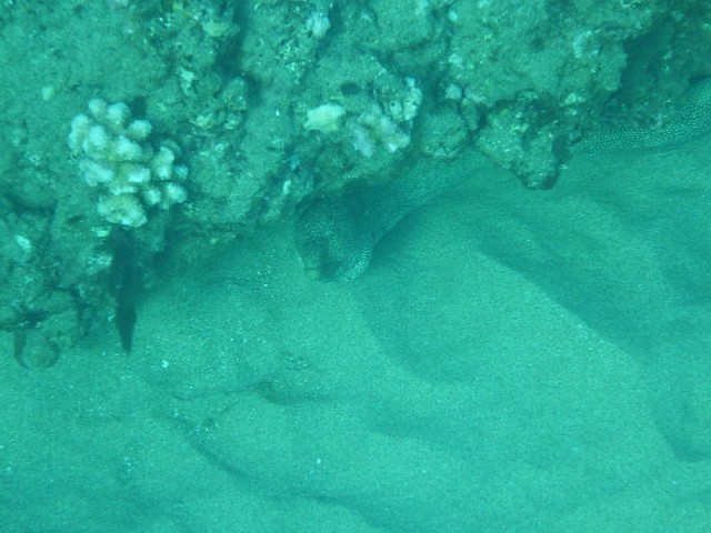 Деревенская Америка