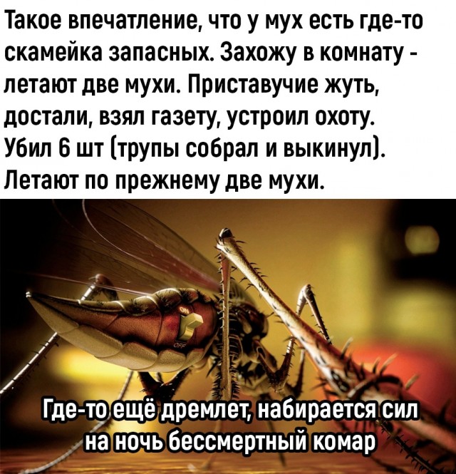 Так себе картинки 23.09.22