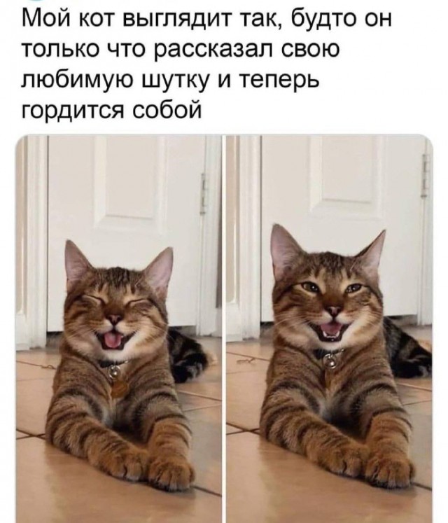 Немного картинок для настроения - 114