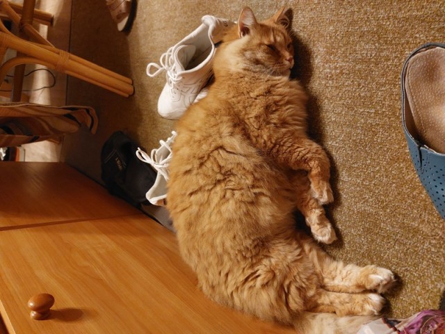 Наказывать ли женщину?