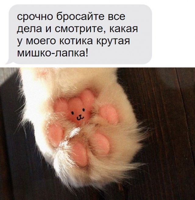 Картинки и мемы для настроения - 133