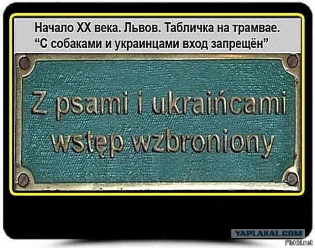 В Дании отказали украинцам в просьбе уволить из школы русскую учительницу