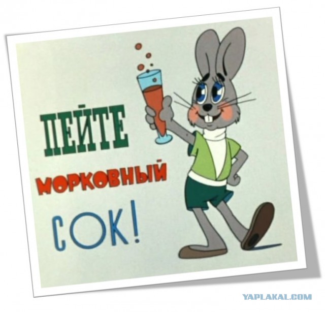 Начал, блин, вести здоровый образ жизни.