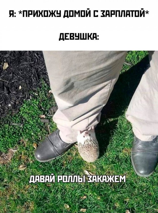 Картинки и мемы, это май-чародей всяко разно - 177