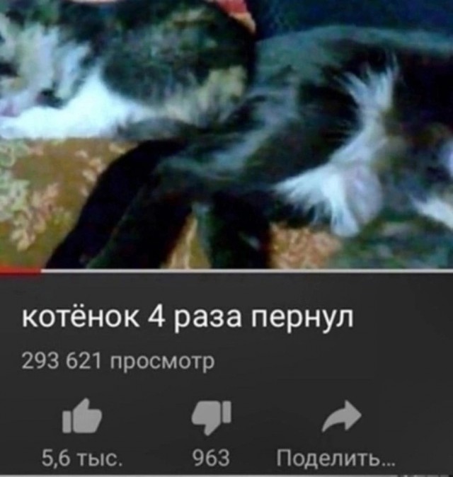 Всего понемногу 24.05