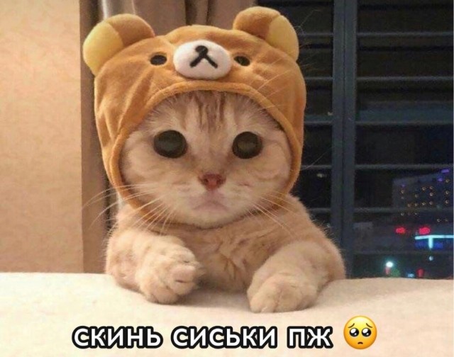 Поздний ужин сильной независимой женщины