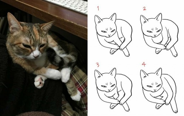 Фотографии , на которые нужно посмотреть дважды