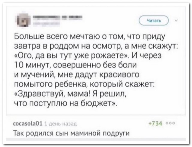 Забавные комментарии из социальных сетей (14.08.23)