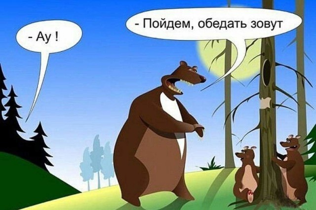 Хочешь утром вылезти из палатки, а там... медведь