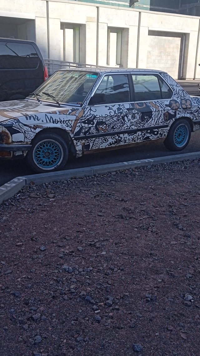 Прикольный окрас