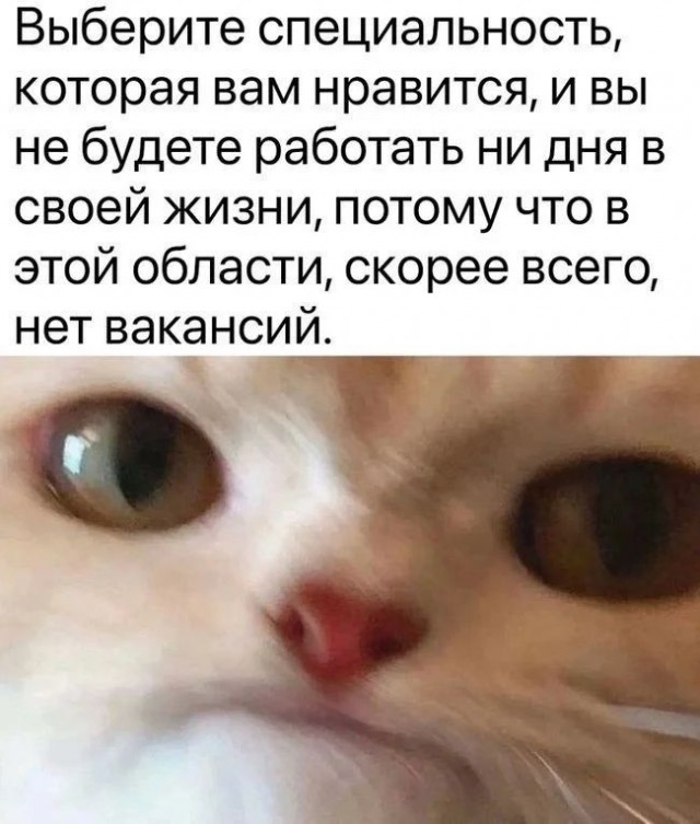 Приколы с налетом деградации в пятницу
