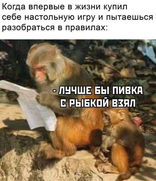 Весёлый полтишок 18.12.2023