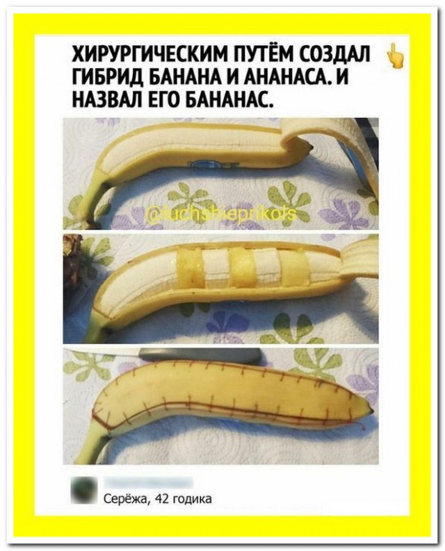 Забавные комментарии из социальных сетей (08.04.24)