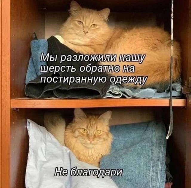 Отряд быстрого деградирования