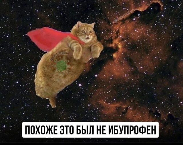 Веселые картинки к пятнице (18.10)