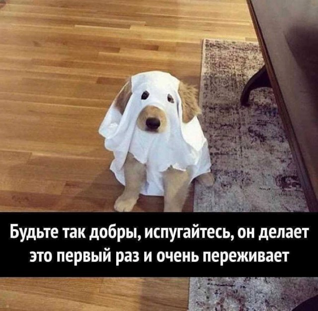 Завалялось тут случайно немного забавных картинок