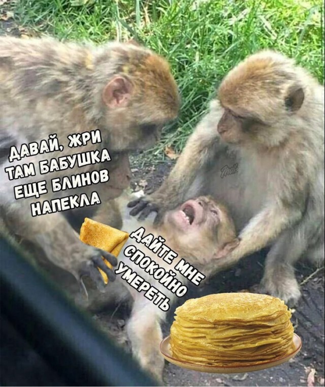 Так себе картинки 24.11.24