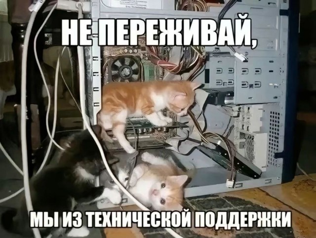 Так себе картинки 10.01.25