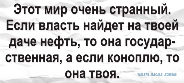 Челябинец намыл золота в Башкирии на 14 миллионов