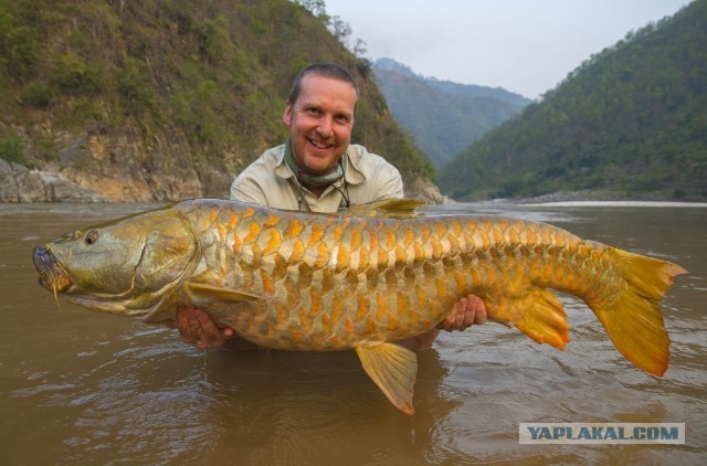 Бутан, таинственный Бутан
