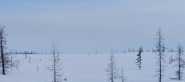 Разбавим политоту и жесть природой