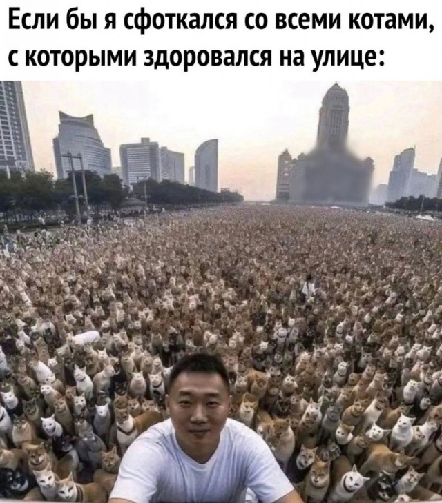 Так себе картинки 08.05.25