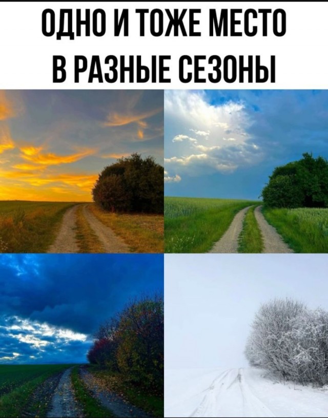 Веселые картинки в пятницу (30.05)
