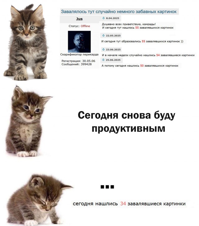 Продолжал терпеливо сохранять мемы