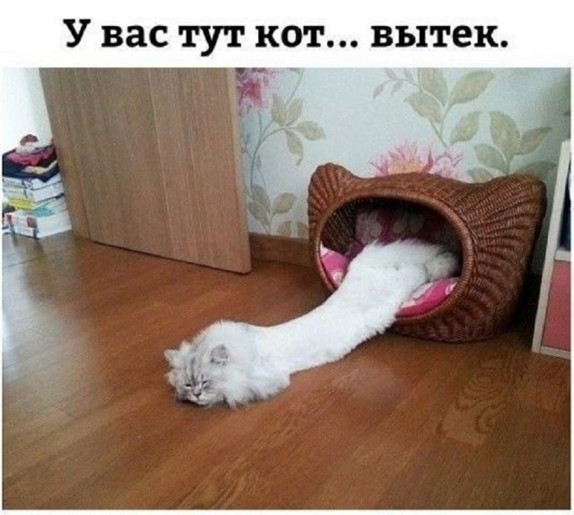 Так себе картинки 22.07.25