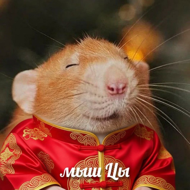 Небаянистая деградация