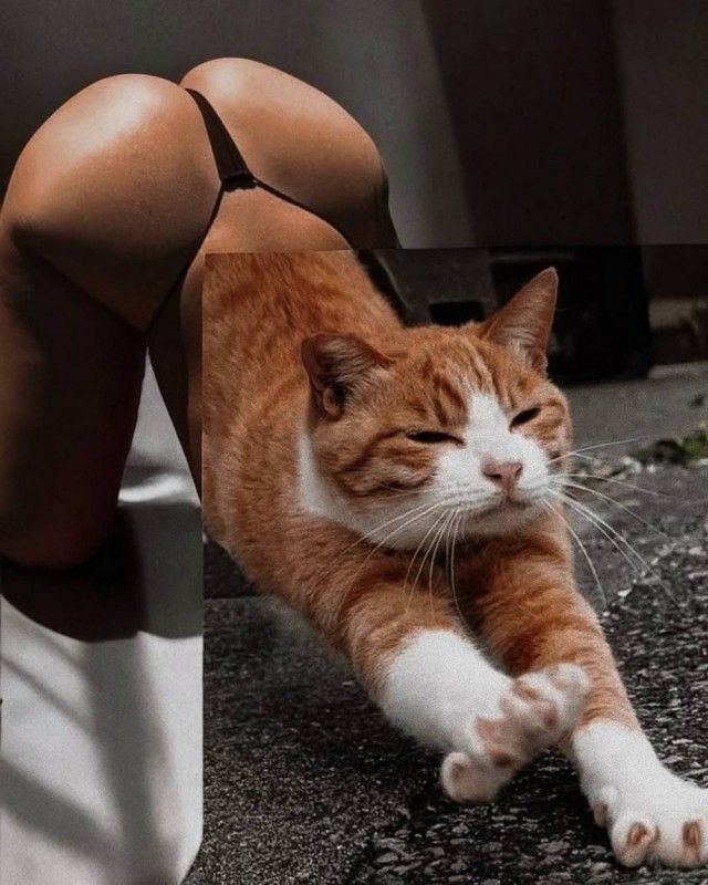 Среда пришла