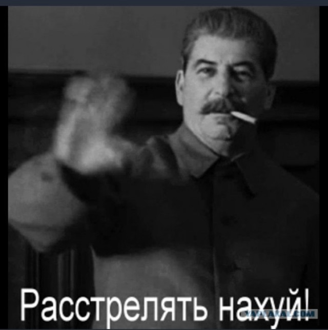 СМИ: стрельбу в элитном подмосковном лицее устроил сын депутата, которого травили из-за «нищебродского» кипрского гражданства
