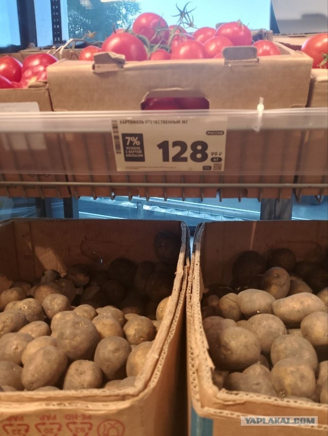 Картошка по 128 рублей
