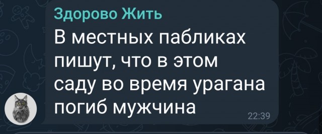 В окрестностях Екатеринбурга прошёл мощный ураган