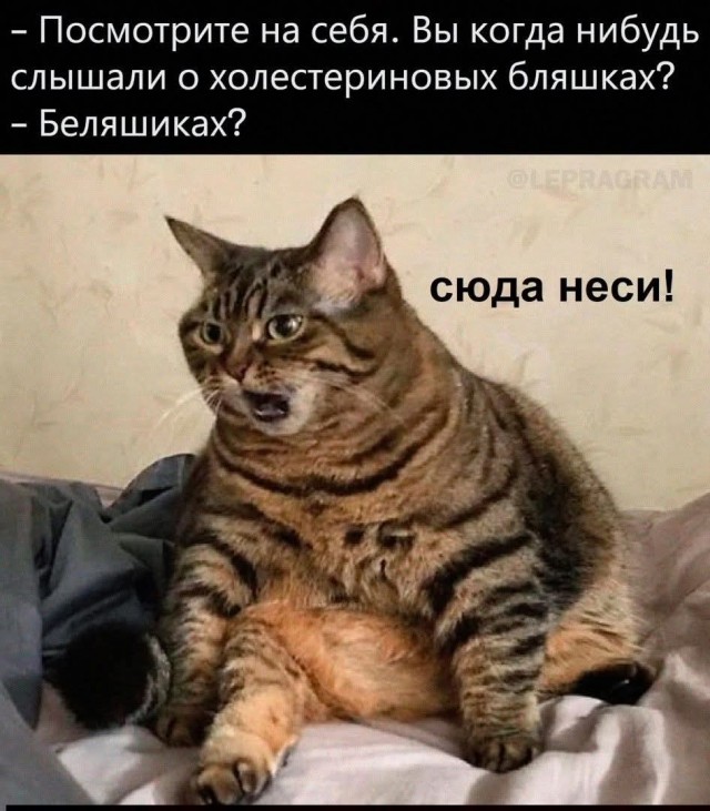 Если жизнь дала тебе лимон — сделай лимонад. Если жизнь дала тебе помидор — не пытайся сделать лимонад