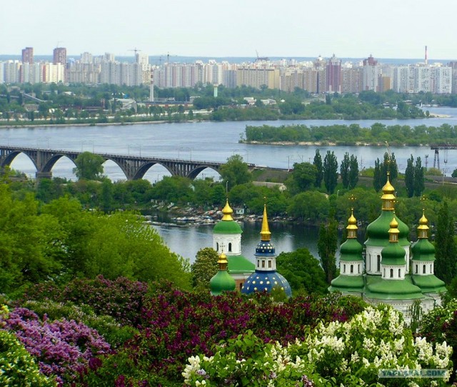 Оазис зелени в московском дворике