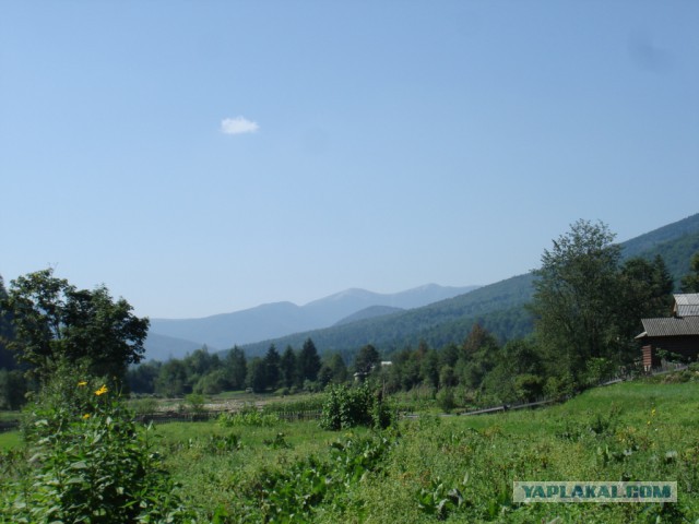 Горганы