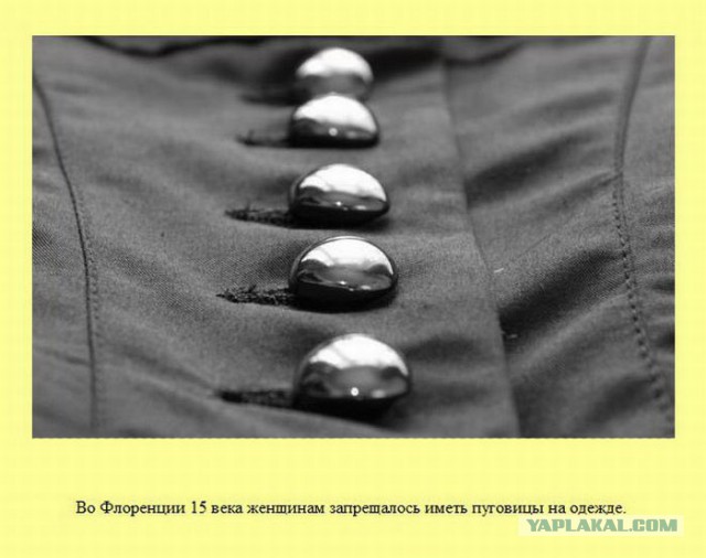 20 фактов обо всем