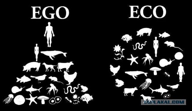 Я предлагаю вьетнамцев - на кол!