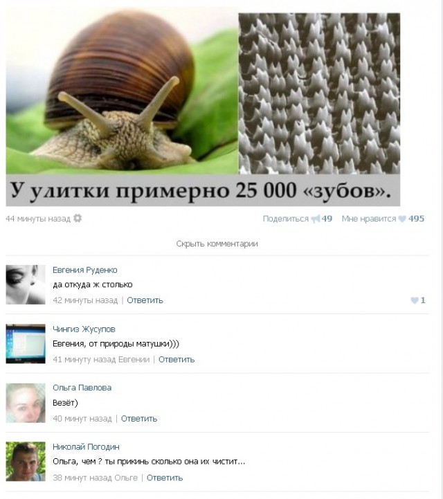 Ужасы и приколы из соцсетей 18+