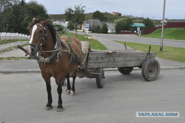 Какое авто выбрать?