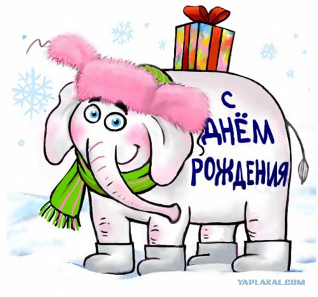 Жизнь как она есть...