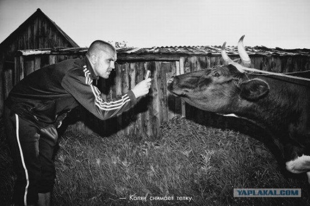 Этот взгляд