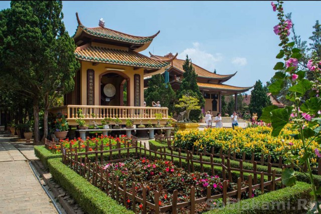 Việt Nam